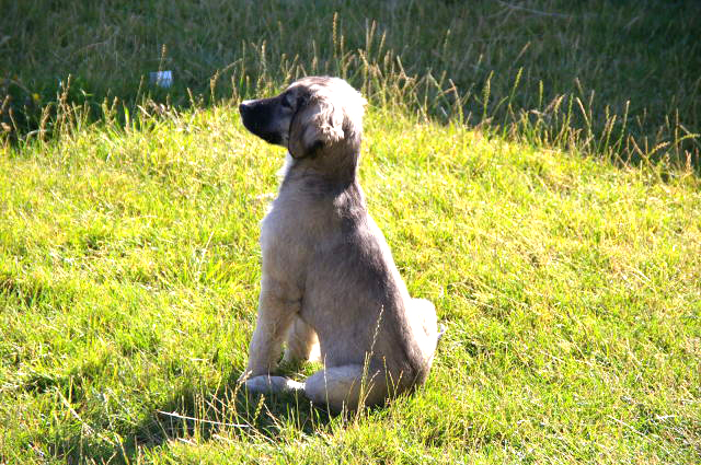 �T���v���ʐ^