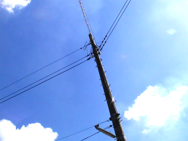 �T���v���ʐ^